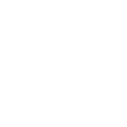 ce logo Canton